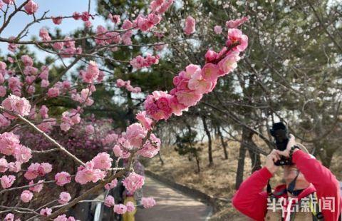 十梅庵今日最新爆料,今日最新爆料揭示惊人内幕  第2张